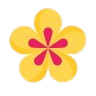 Puja flower